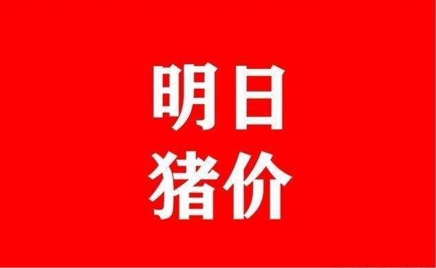 今日猪价最早价格完整分析，最新市场动态与趋势解读