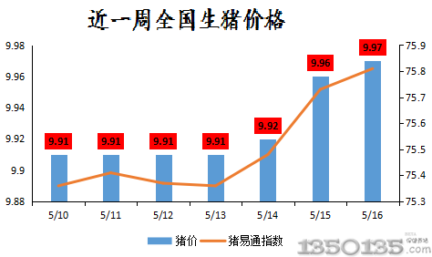 中国今日猪价行情分析与展望