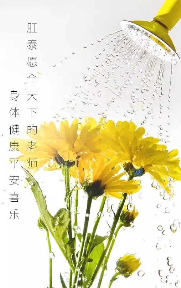 教师节最早文案，致敬师恩，传承智慧之光，赞美师者的光辉历程